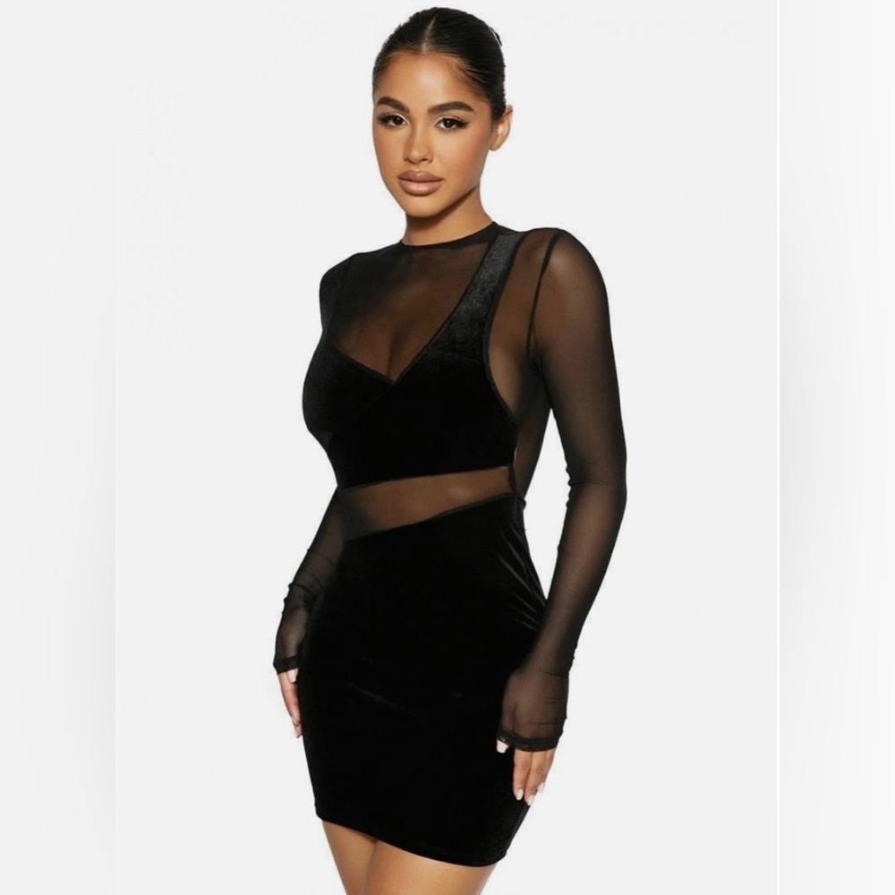 The Showstopper mesh mini dress from nakedwardrobe